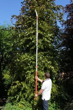ARS EXP-3.3M Teleskophandtag