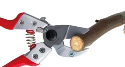 ARS Pro Anvil VA-7Z Sekatör