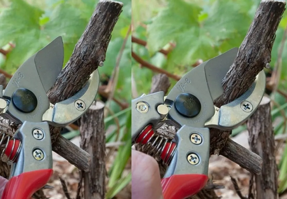 ARS Pro Anvil VA-8Z Sekatör