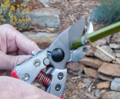 ARS Pro Anvil VA-8Z Sekatör