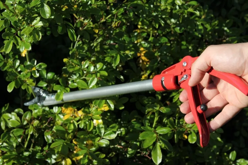 ARS Rose Pruner Stångsekatör 60cm