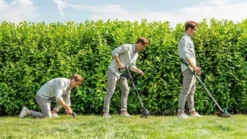 Bosch Grästrimmer 18V-260 utan batteri & laddare