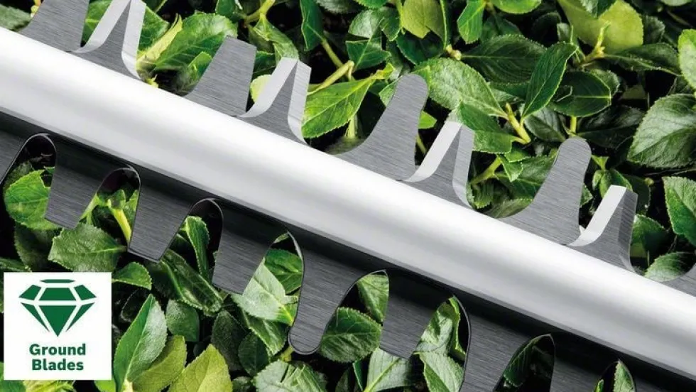 Bosch Häcksax Easyhedgecut 55