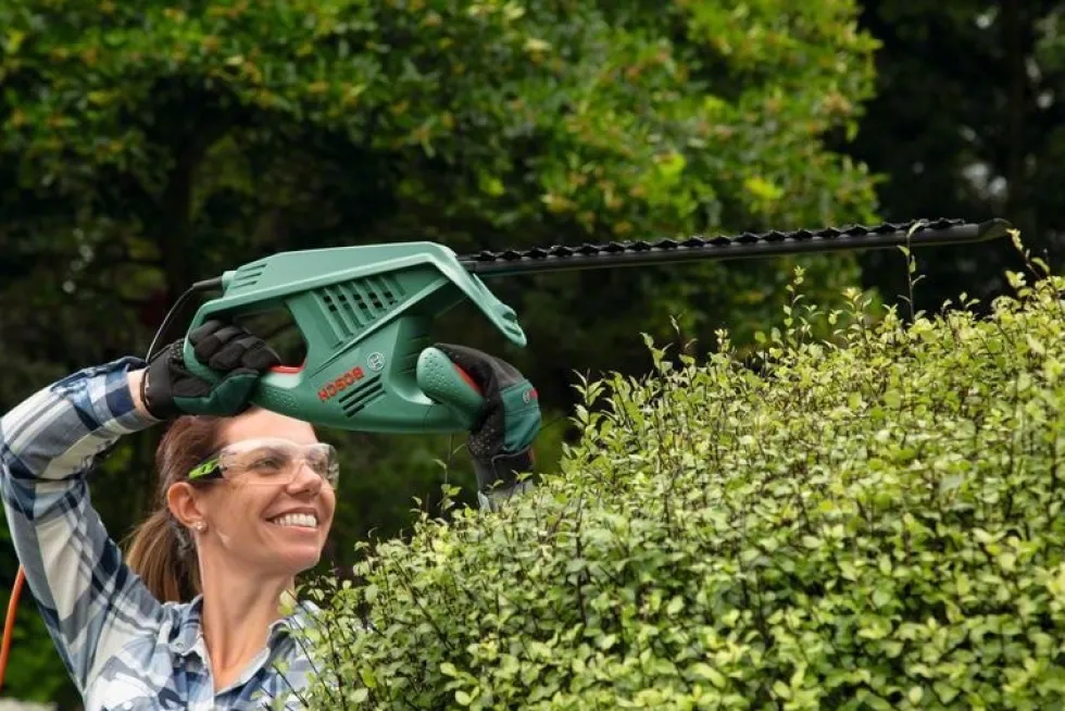 Bosch Häcksax Easyhedgecut 55