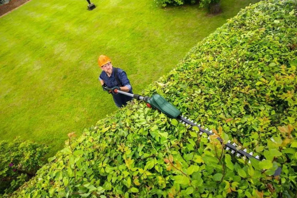 Bosch Häcksax Universal Hedge Pole 18V utan batteri & laddare