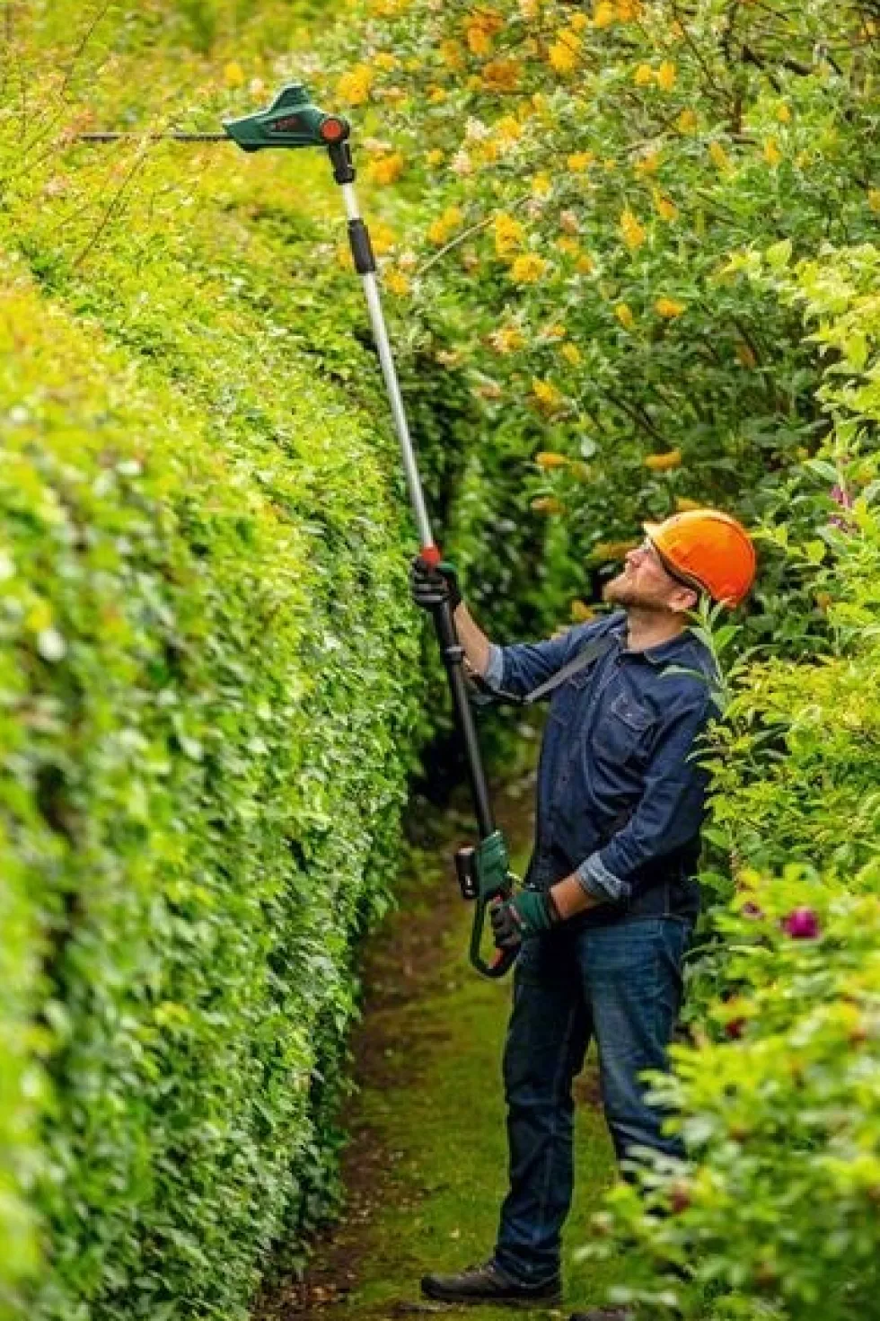 Bosch Häcksax Universal Hedge Pole 18V med 1x2Ah batteri & laddare