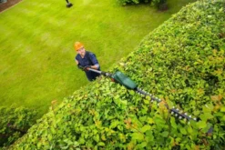Bosch Häcksax Universal Hedge Pole 18V med 1x2Ah batteri & laddare