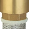 Bottenventil FVA2 2''