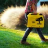Champion 2000w Dual Fuel Inverterelverk