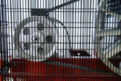 Drift-Air Kompressor NG5 200C 5,5TK