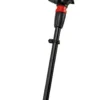 Einhell Picobella Multiborste