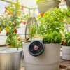 Gardena aquaBloom Semesterbevattning