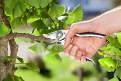 Gardena BP50 Premium Sekatör