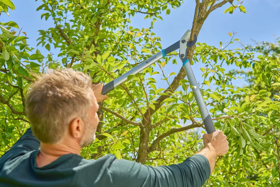 Gardena EnergyCut Basic Grensax