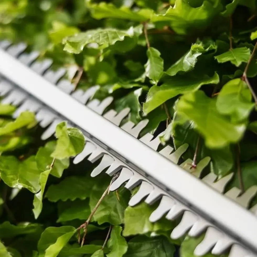 Gardena Häcksax EasyCut 55/18V P4A inkl. batteri och laddare (2,0Ah batteri & standardladdare)