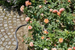 Gardena Liano Textilslang 20m