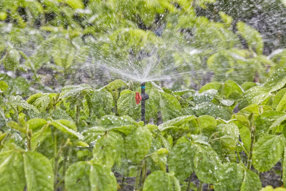 Gardena Micro Sprinkler 360°