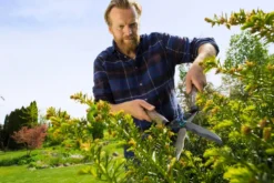 Gardena NatureCut Häcksax