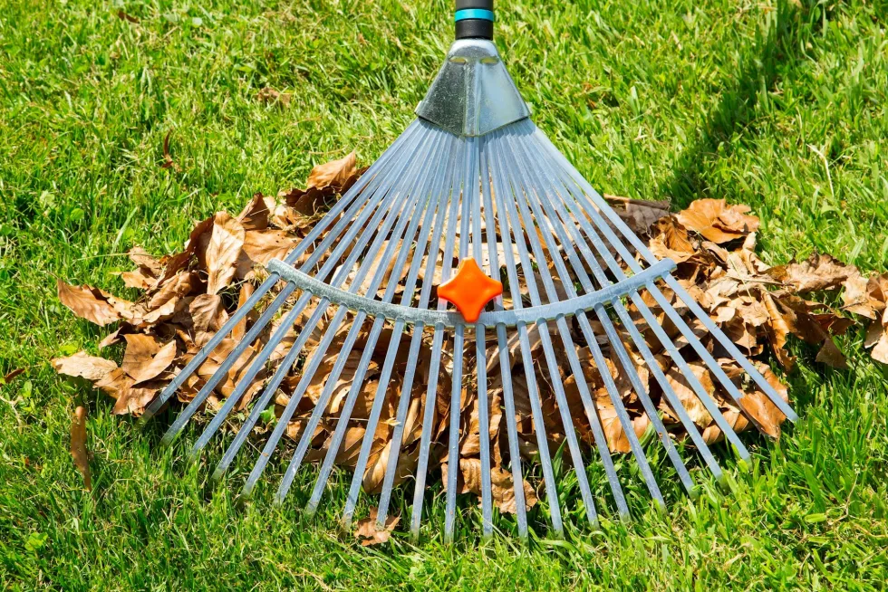 Gardena NatureLine Ställbar Bladfjäderräfsa i Metall