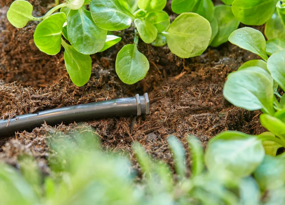 Gardena Plugg 4,6 mm (3/16")
