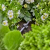 Gardena Rörhållare 4,6 mm (3/16)