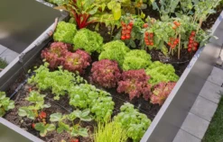 Gardena Startset för pallkragar