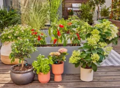 Gardena Startset Terrass