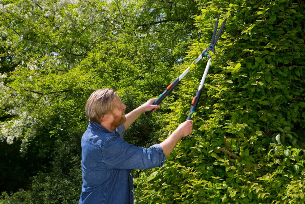 Gardena TeleCut Häcksax