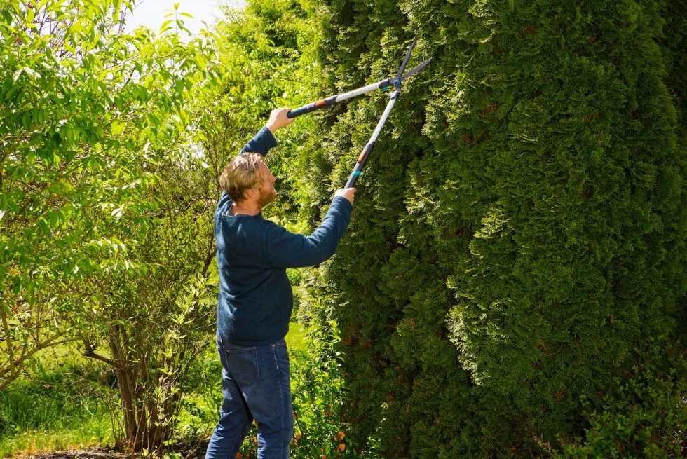 Gardena TeleCut Häcksax