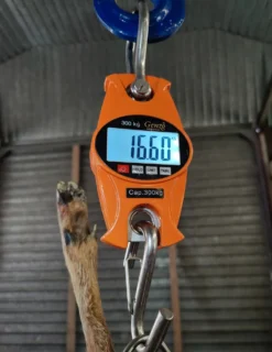 Genzo Hängvåg Digital 300 kg