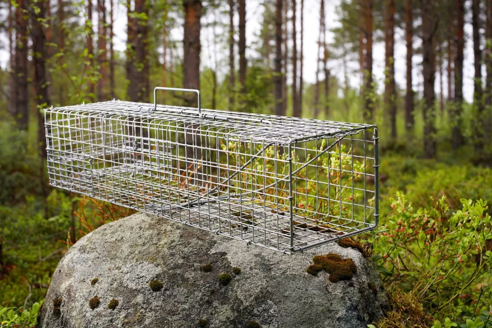 Granlunds Minkfälla ÖF10