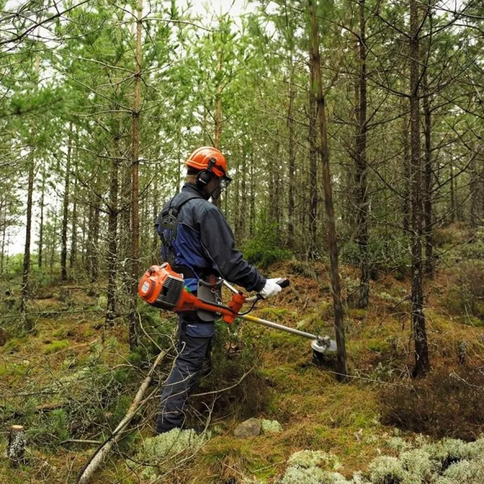 Husqvarna 545FXT Röjsågspaket