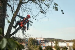 Husqvarna T535i XP Batterimotorsåg