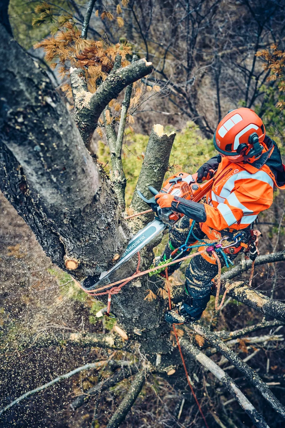 Husqvarna 560 XPG Mark II Motorsåg – 15″
