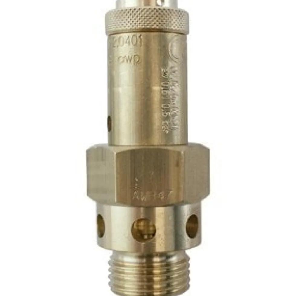 Lorch Säkerhetsvent.1/4'' 6 Bar