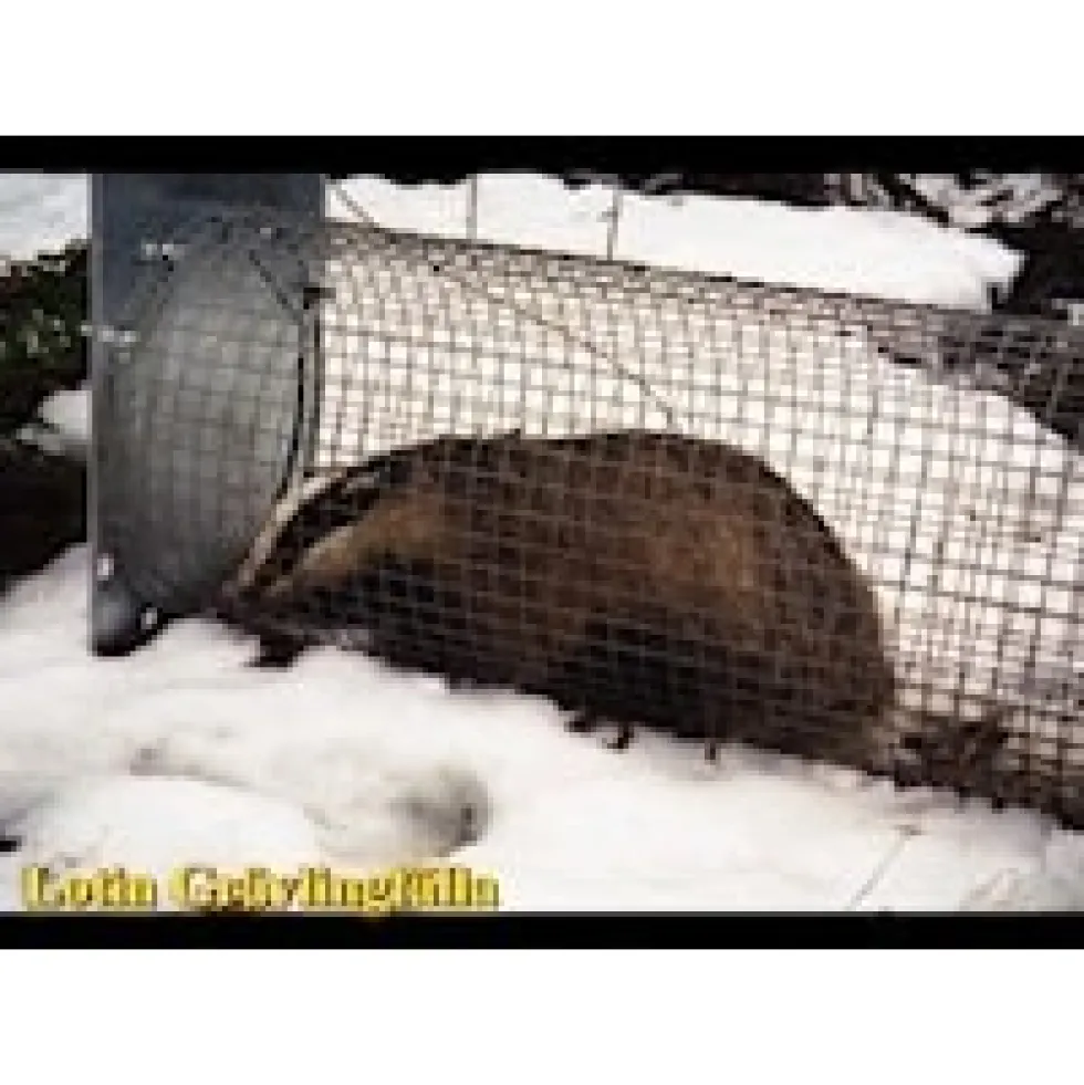 Lotin grävlingfälla Delmonterad (lös lucka)