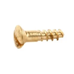 Mässingsskruv Tkfs 3,5X25mm