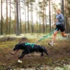 Non-Stop Dogwear Bungee Leash, Aqua, 2m