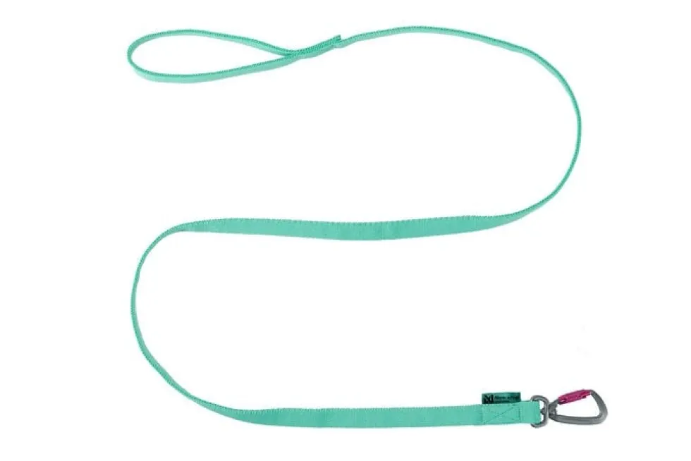 Non-Stop Dogwear Bungee Leash, Aqua, 2m