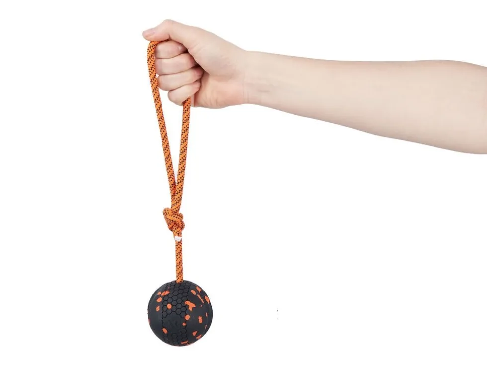 Non-Stop Dogwear Dog ball on rope