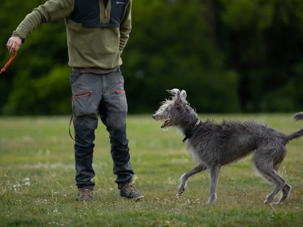 Non-Stop Dogwear Dog ball on rope