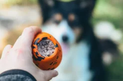 Non-Stop Dogwear Dog throw toy