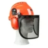Oregon Forestry Helmet
