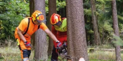 Protos Integral Huggarhjälm Gul/Orange