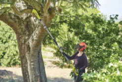 Ryobi RY18PP20A-0 Teleskopisk grensåg 20 cm 18V ONE+