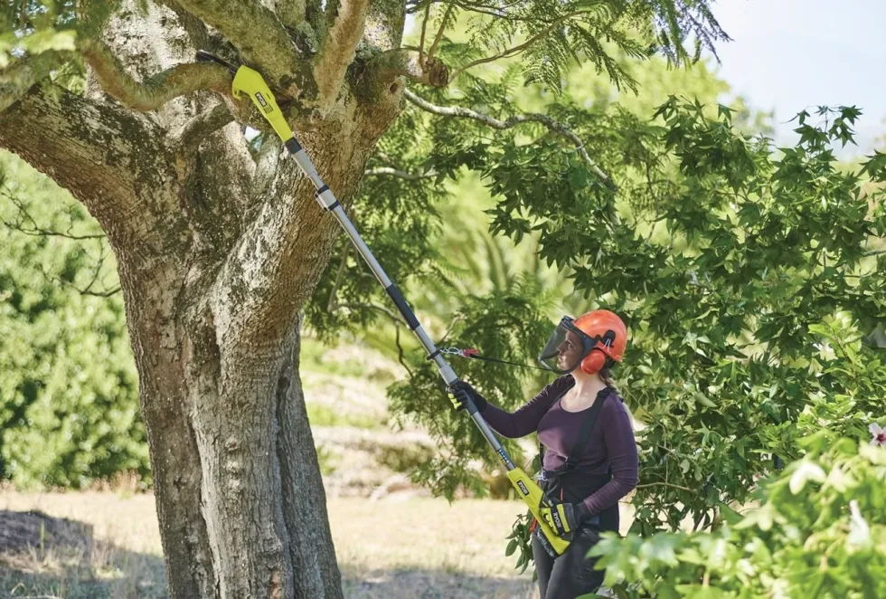 Ryobi RY18PP20A-0 Teleskopisk grensåg 20 cm 18V ONE+