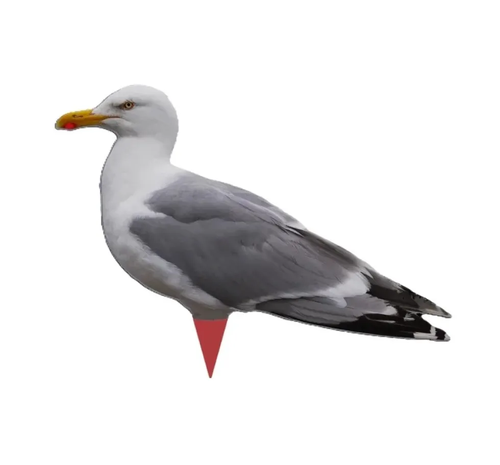 Siluettbulvan Mås 2-pack – Lockfågel