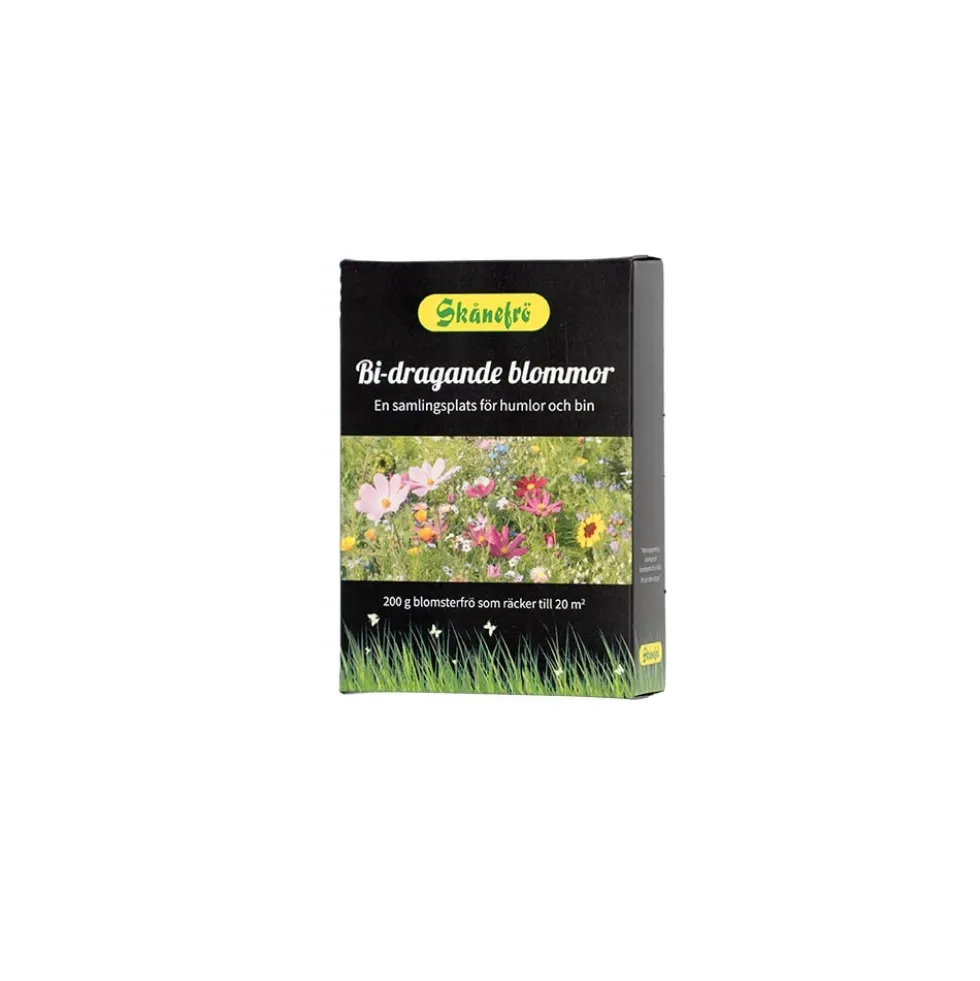 Skånefrö Bi-dragande blommor