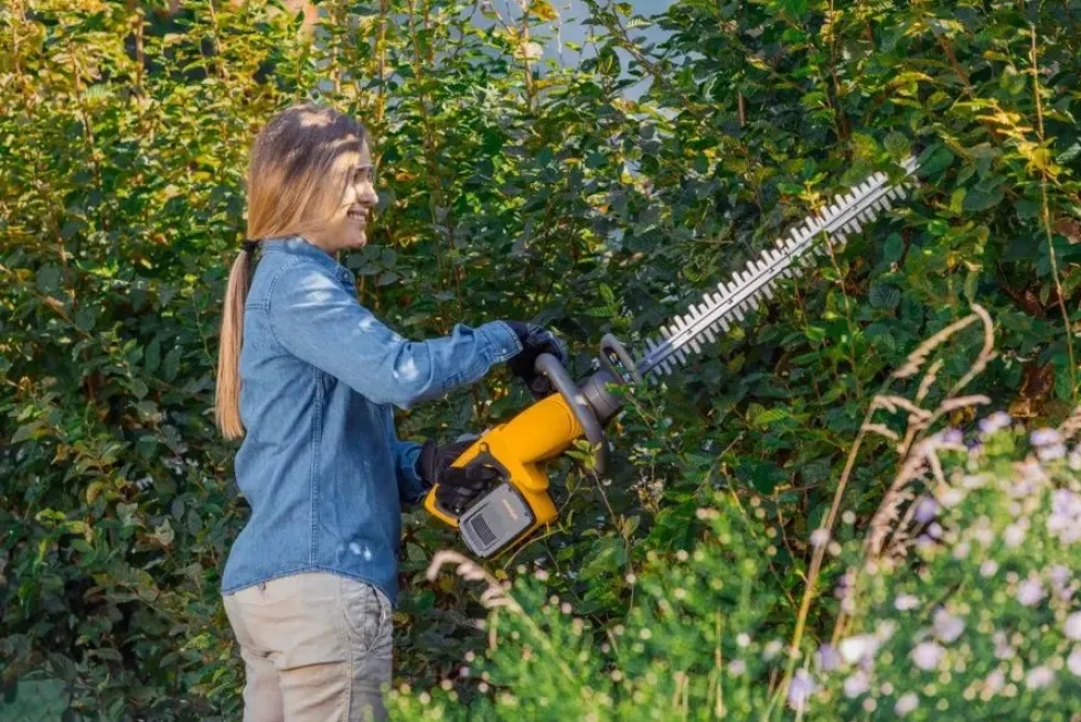 Stiga Ht 300E Batterihäcksax