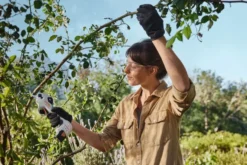 Stihl ASA 20 Batteridriven Sekatör inkl. Batteri och Laddare